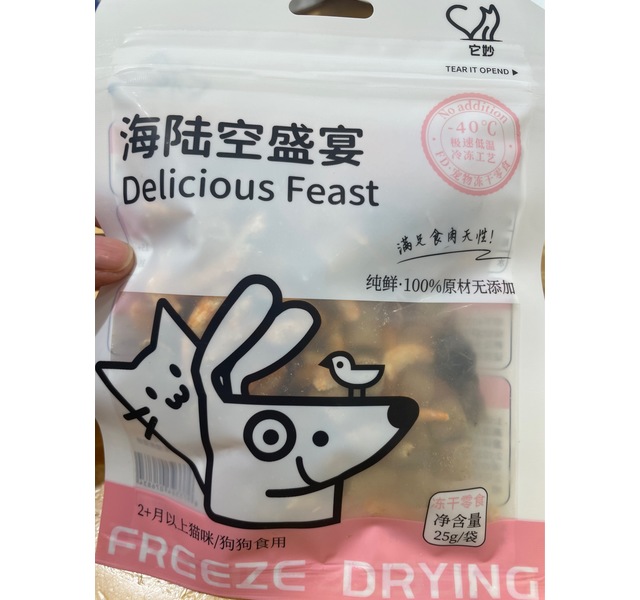 它妙海陆空盛宴