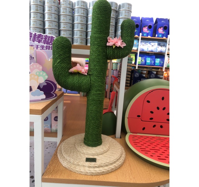 未卡小仙人掌🌵爬架