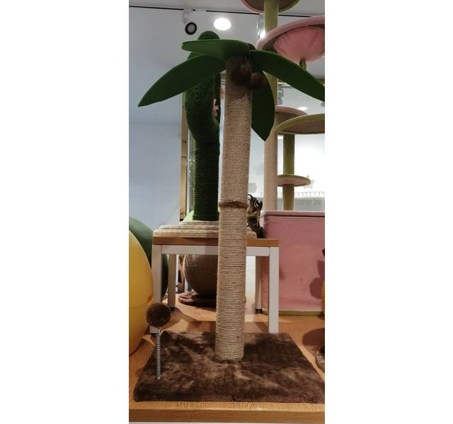 猫爬架