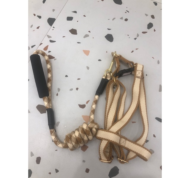 牵引绳中号