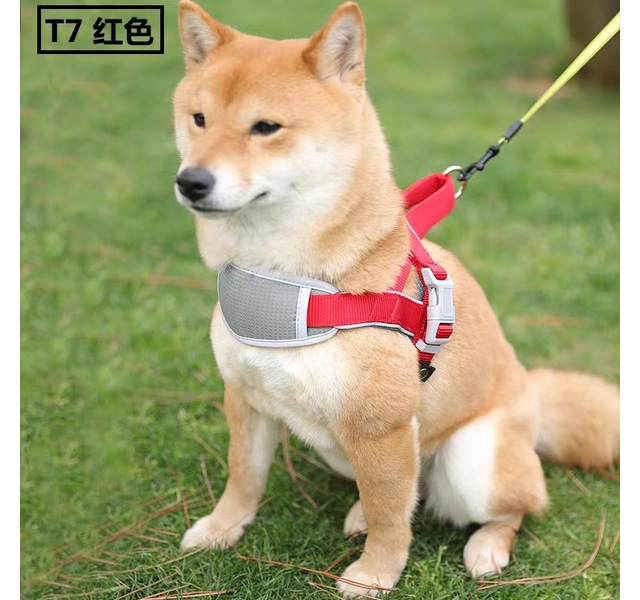 T7胸背牵引绳Xs