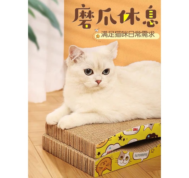 猫抓板小号