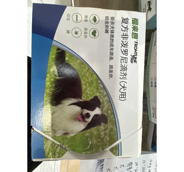 福来恩中号