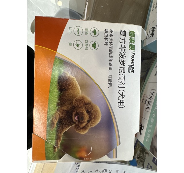 福来恩小号