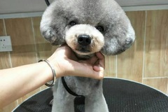 Cute Pet宠物生活馆