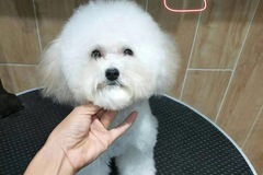 Cute Pet宠物生活馆