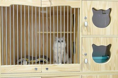 Cute Pet宠物生活馆