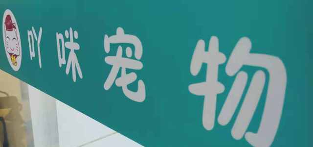 一家专业的高端宠物店