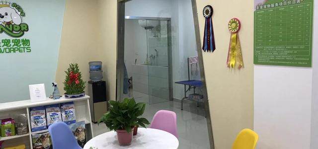 泰小熊宠物社0