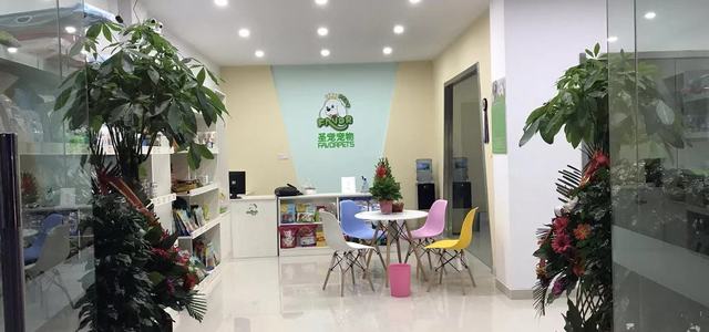 泰小熊宠物社1