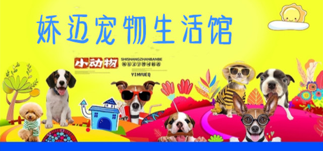 娇迈宠物生活馆
