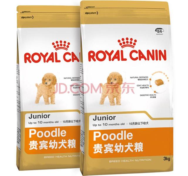 皇家（贵宾幼犬）