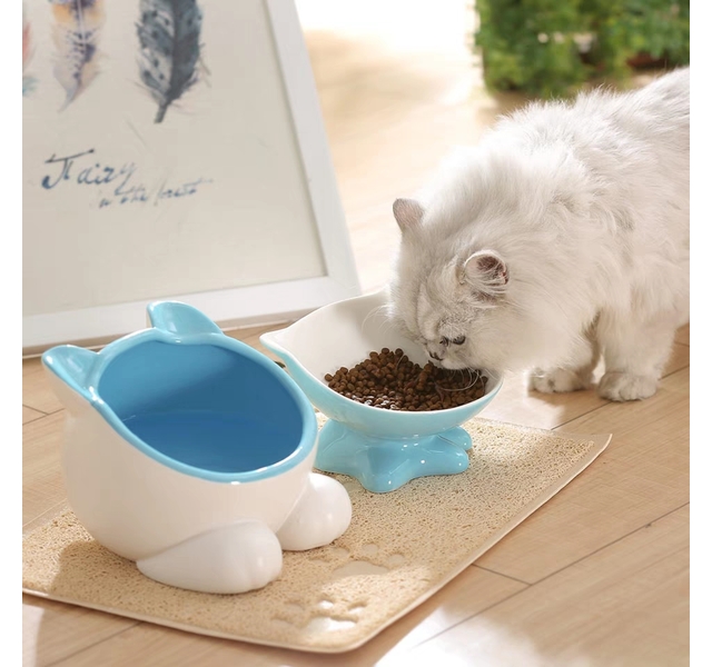 猫头水碗