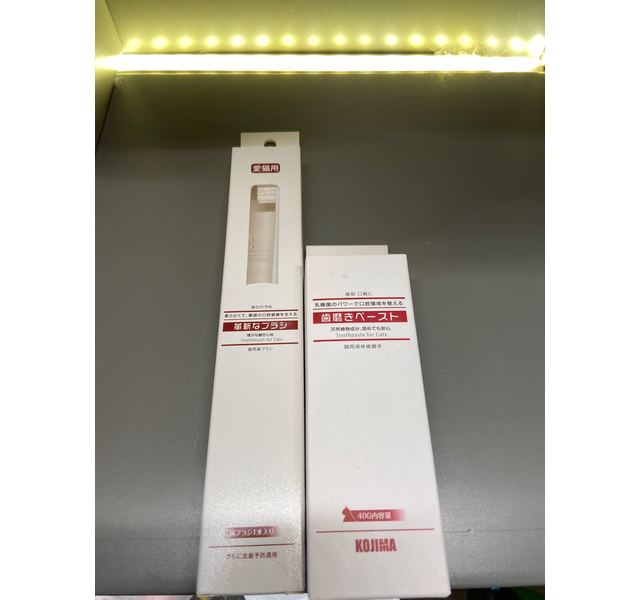 KOJIMA猫用牙刷牙膏套装