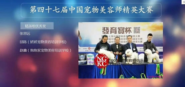 唯爱宠物俱乐部1