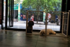 唯爱宠物俱乐部