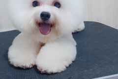 唯爱宠物俱乐部