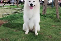 唯爱宠物俱乐部
