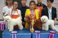 唯爱宠物俱乐部