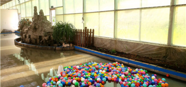 百合研学劳动基地12
