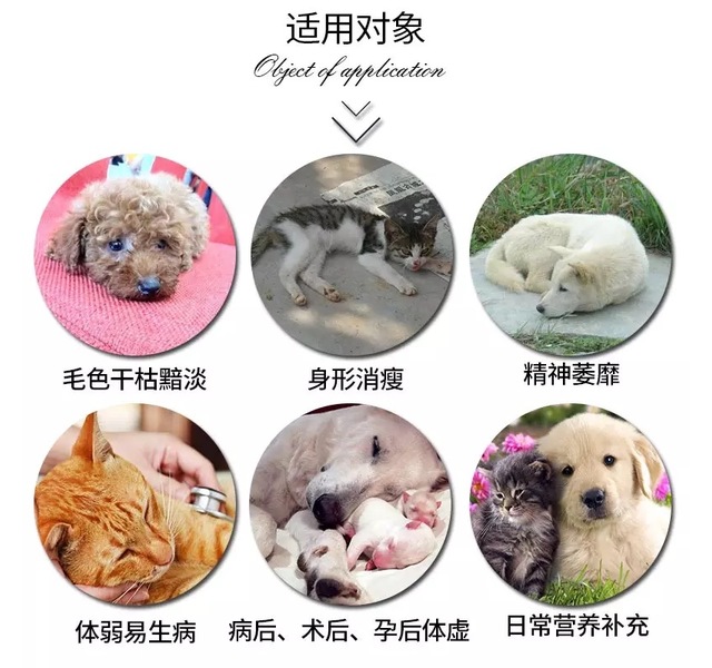 红狗营养膏