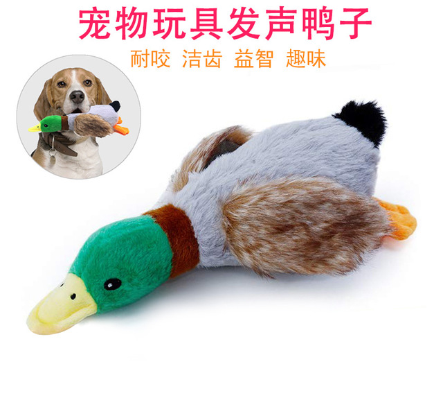 狗狗玩具