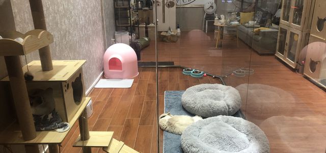 玩耍区