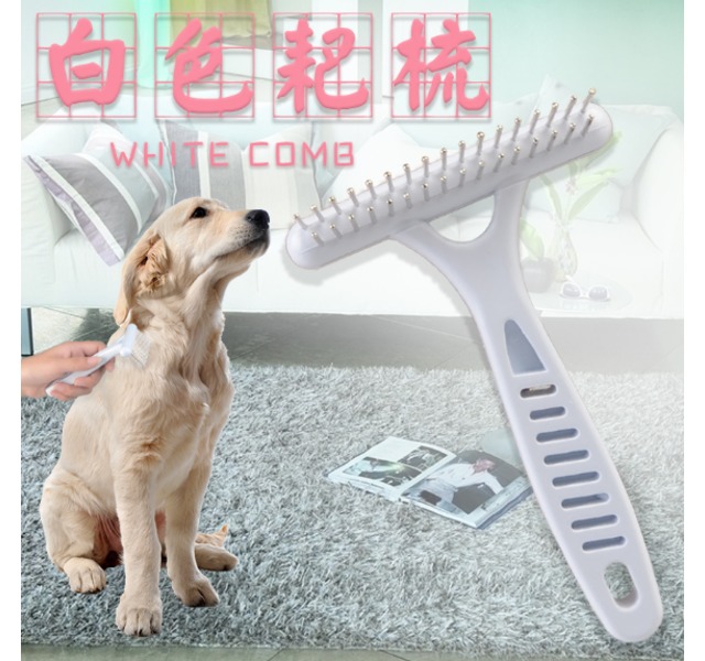白色双齿耙梳