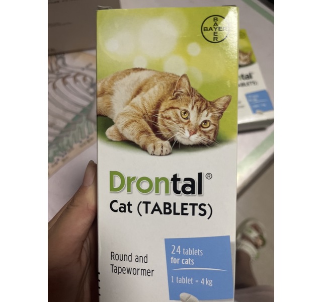 德国拜耳Bayer猫用拜宠清Drontal Cat体内驱虫药打虫药