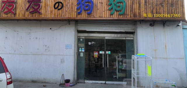 友友的狗狗0