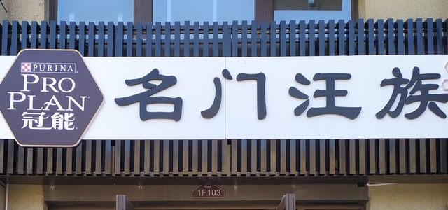 名门汪族1