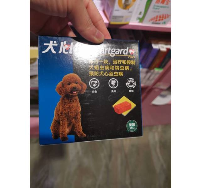 小型犬体内驱虫