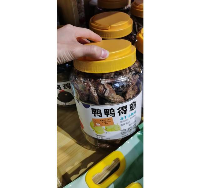 皓宠鸭鸭得意