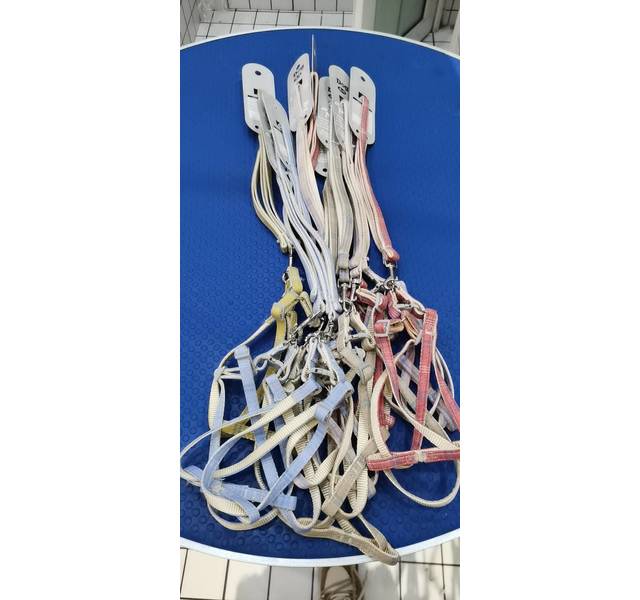 辰阳1.0牵引