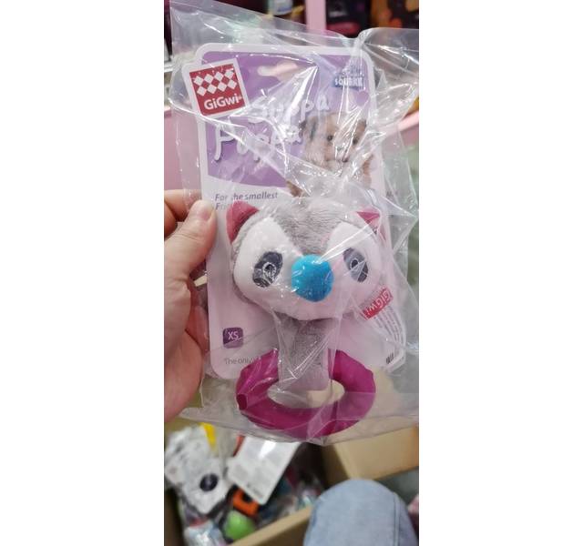贵为q萌浣熊