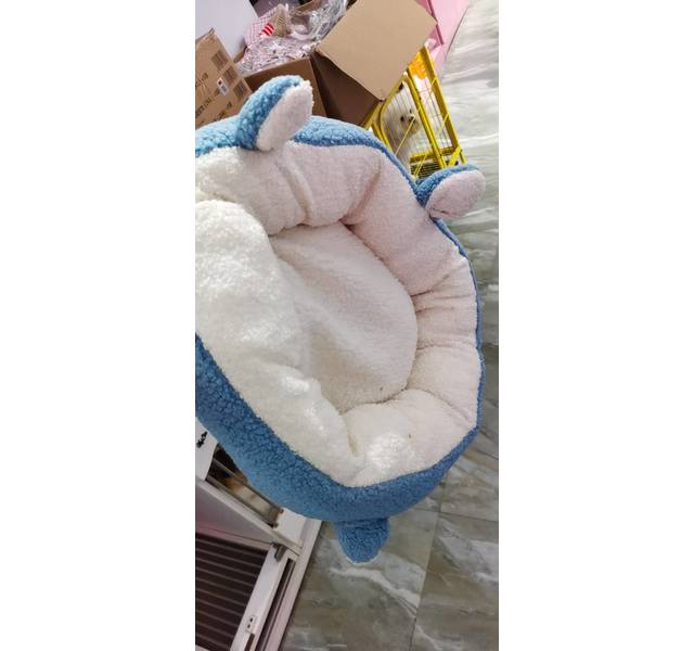 长尾猫窝蓝色小号