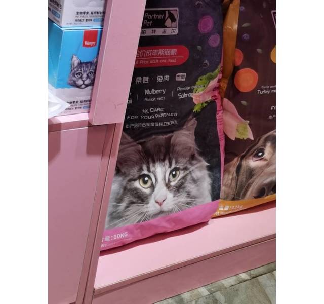 帕特诺尔桑葚兔肉成猫粮