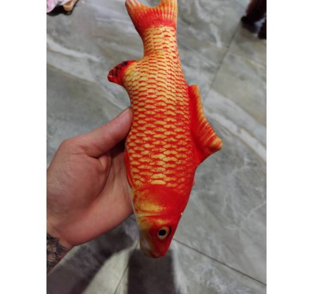 红鲤鱼