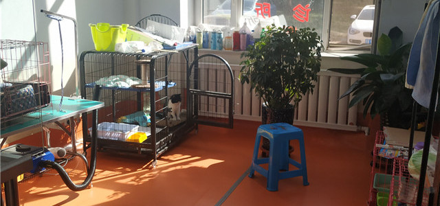 鹏友动物诊所8
