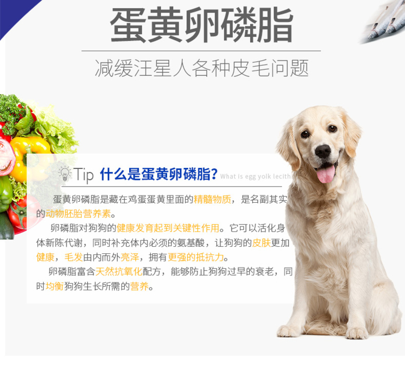 mag犬用卵磷脂鱼油颗粒1