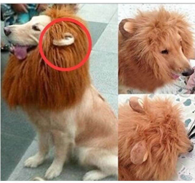 狮子假发